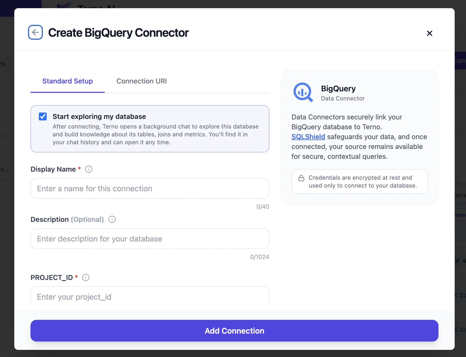 Create BigQuery Connector form, Standard Setup tab