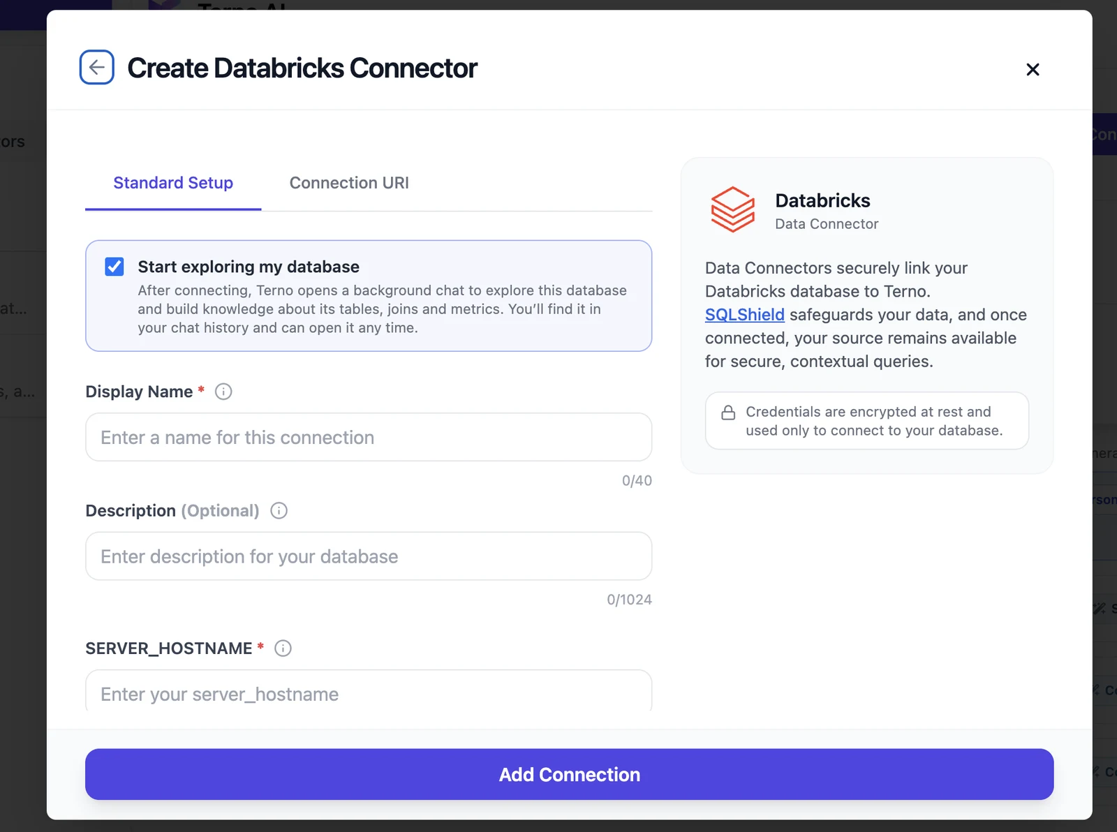 Create Databricks Connector form, Standard Setup tab