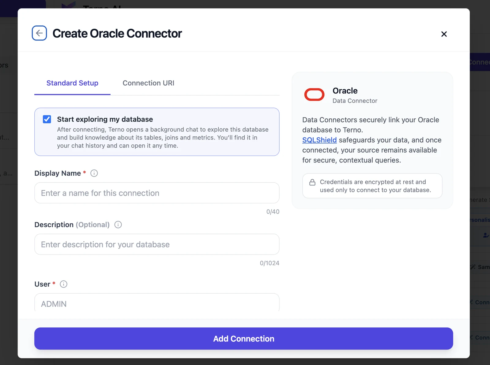 Create Oracle Connector form, Standard Setup tab