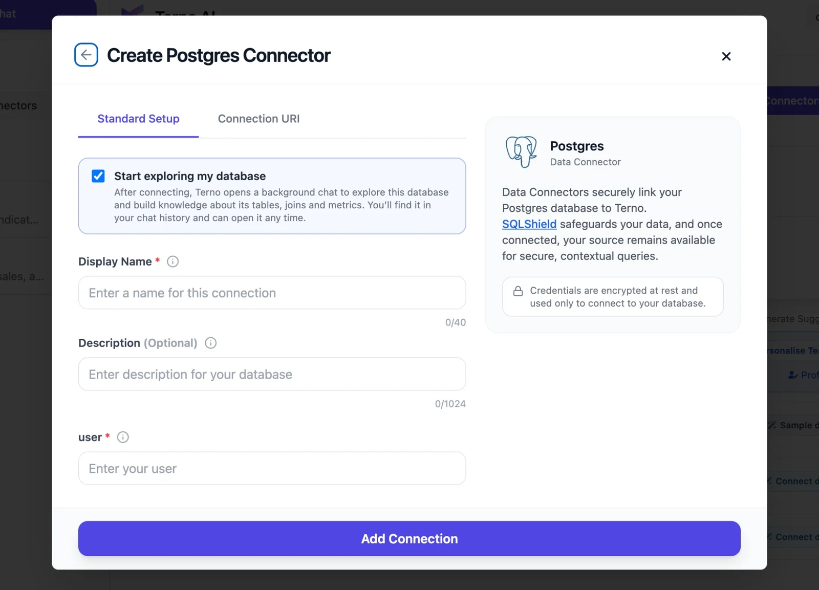 Create Postgres Connector form, Standard Setup tab
