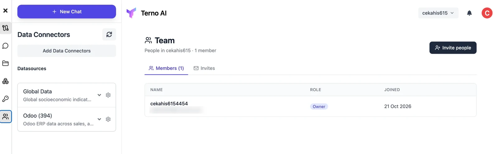 Team page listing members, roles and join dates